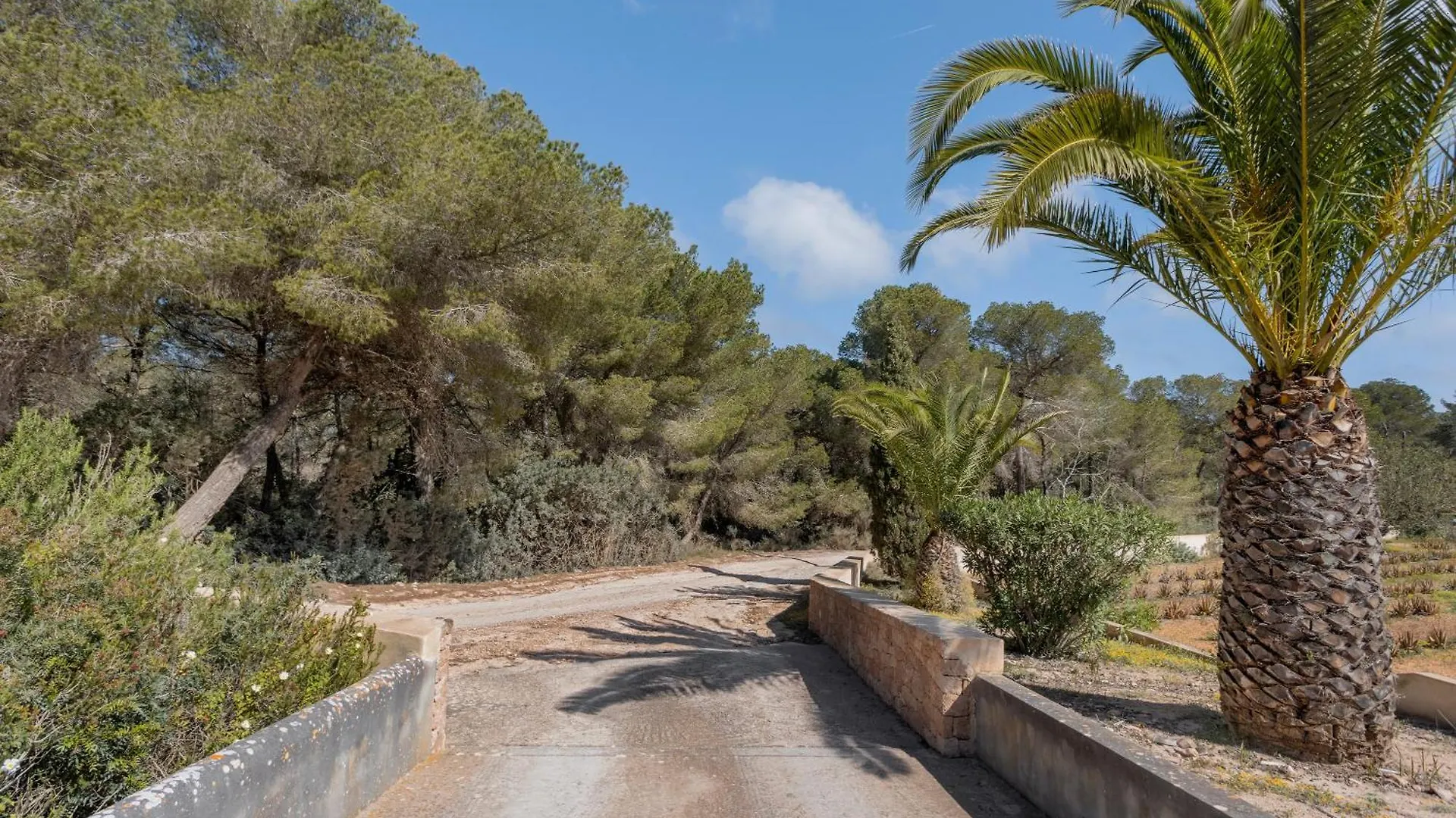 Feriehus Ca N'Alicia Des Bosch Villa BALEARIC ISLANDS