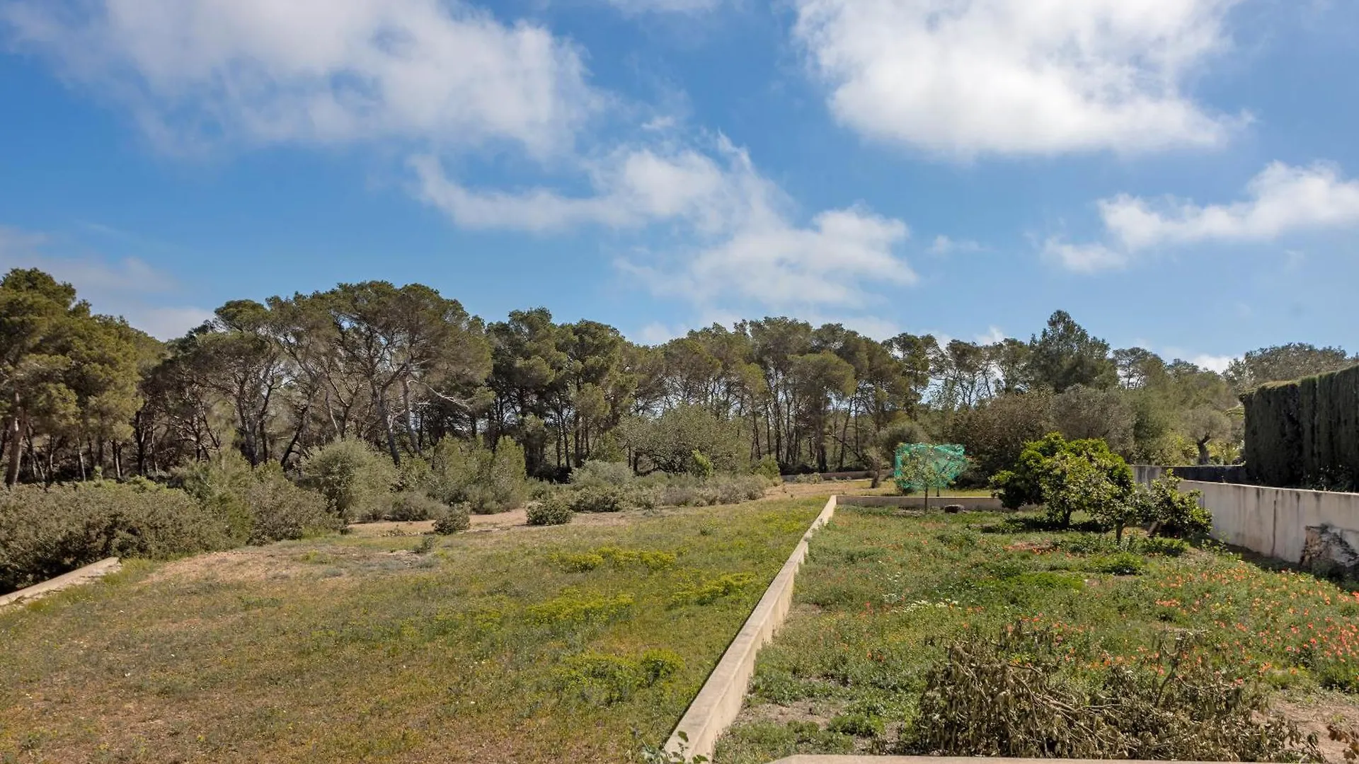 Ca N'Alicia Des Bosch Villa BALEARIC ISLANDS 0*,  Spanien